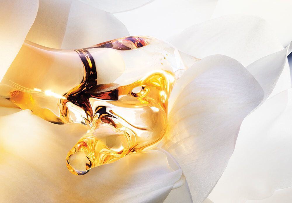 Jadore Dior Aromas